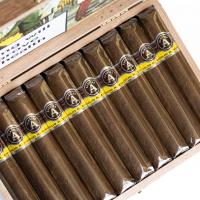 Aladino Corojo Robusto Cigar - Box of 20